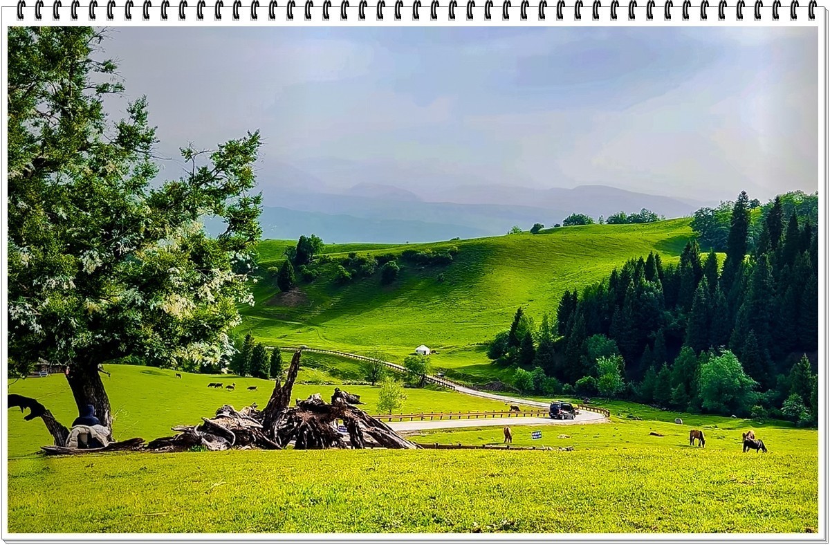 2025年-人文风光纪实抓拍-0482