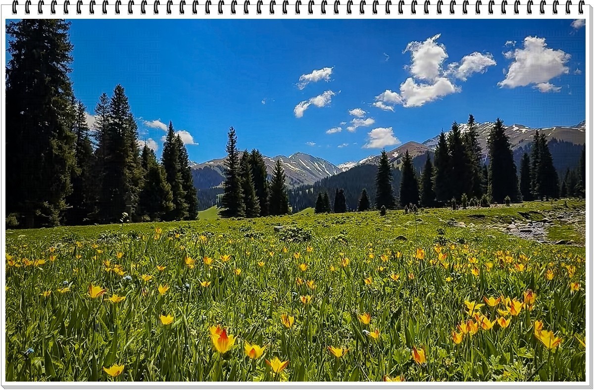 2025年-人文风光纪实抓拍-0485