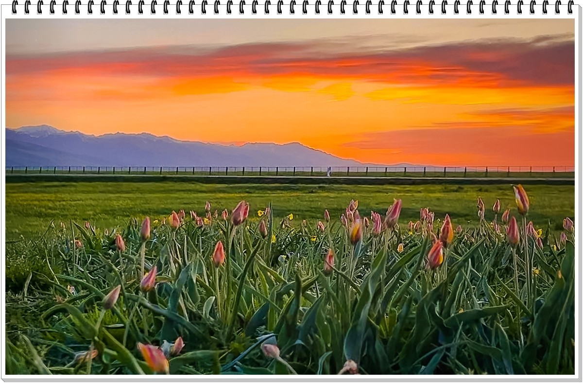 2025年-人文风光纪实抓拍-0485