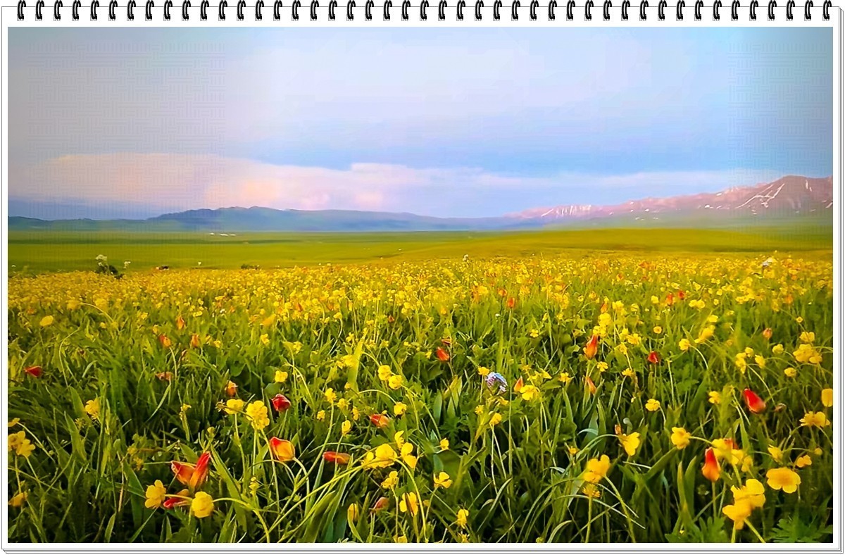 2025年-人文风光纪实抓拍-0485