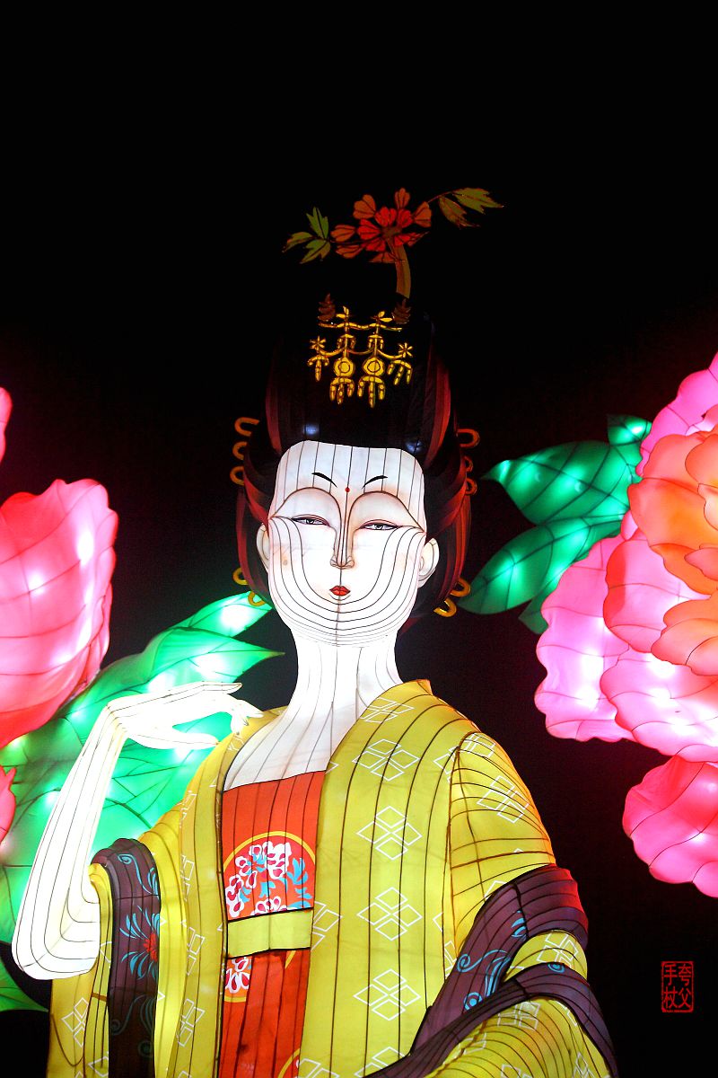 自贡恐龙灯会（十一）