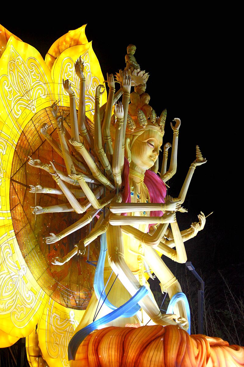 自贡恐龙灯会（十一）