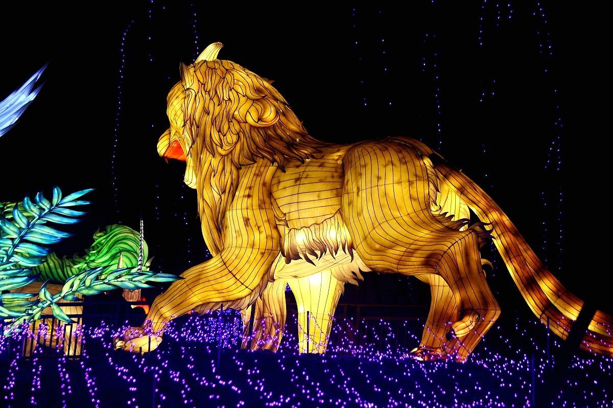 自贡恐龙灯会（十一）