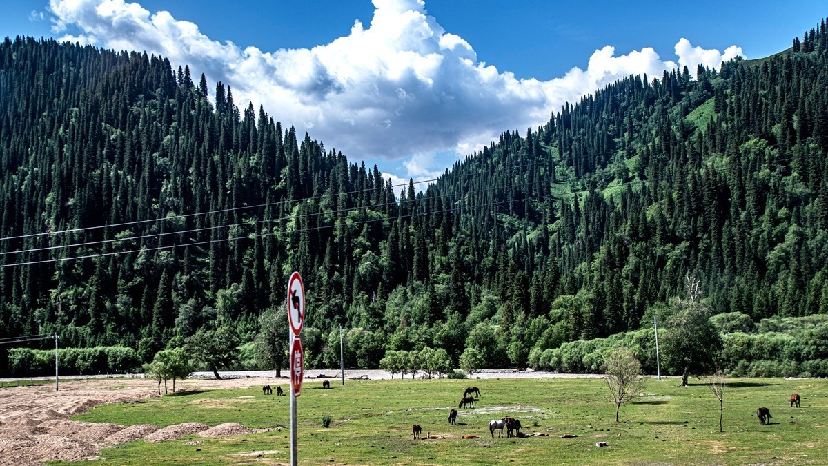 独库公路--从那拉提到独山子【2】