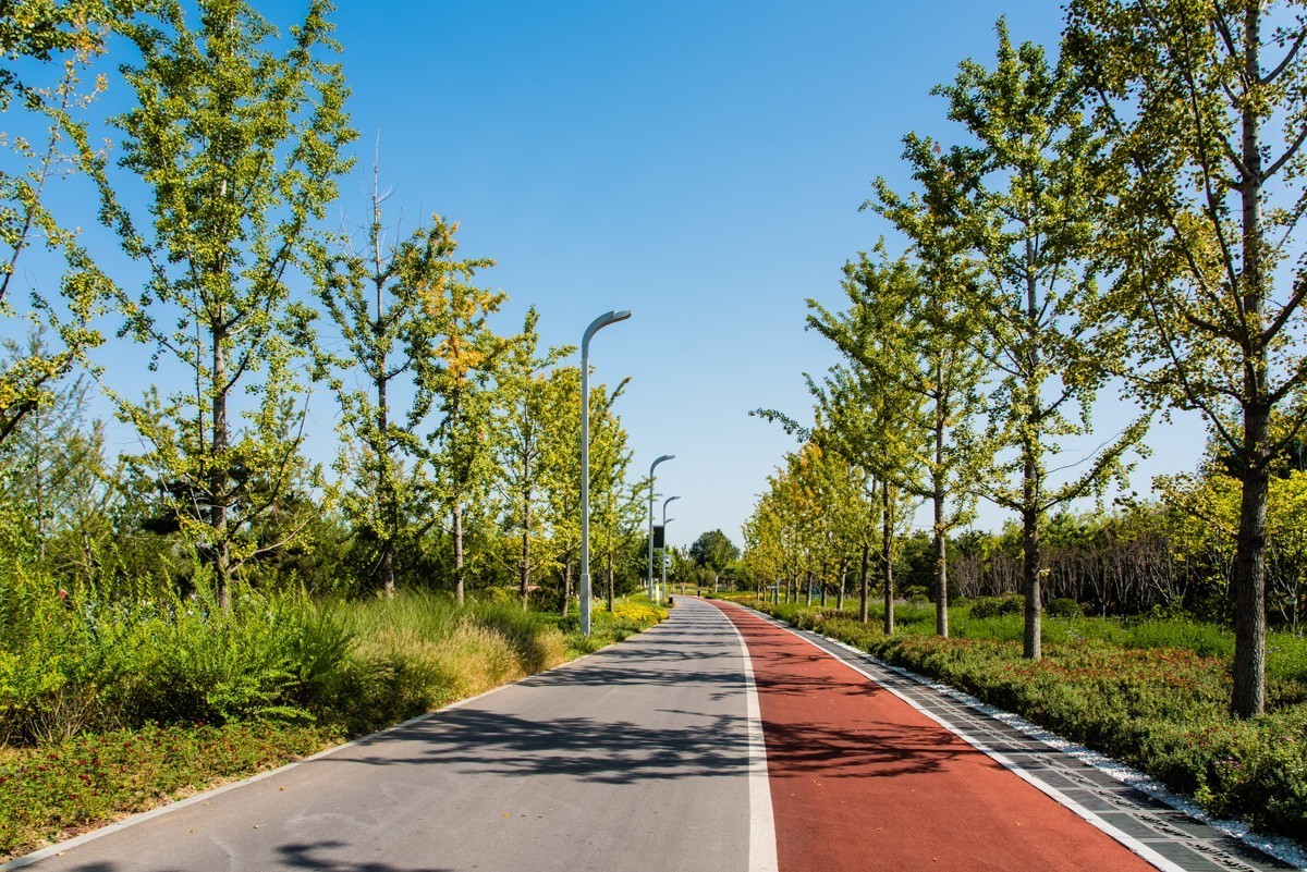 【镜头里】第1550号：大美唐山随手拍（十八）