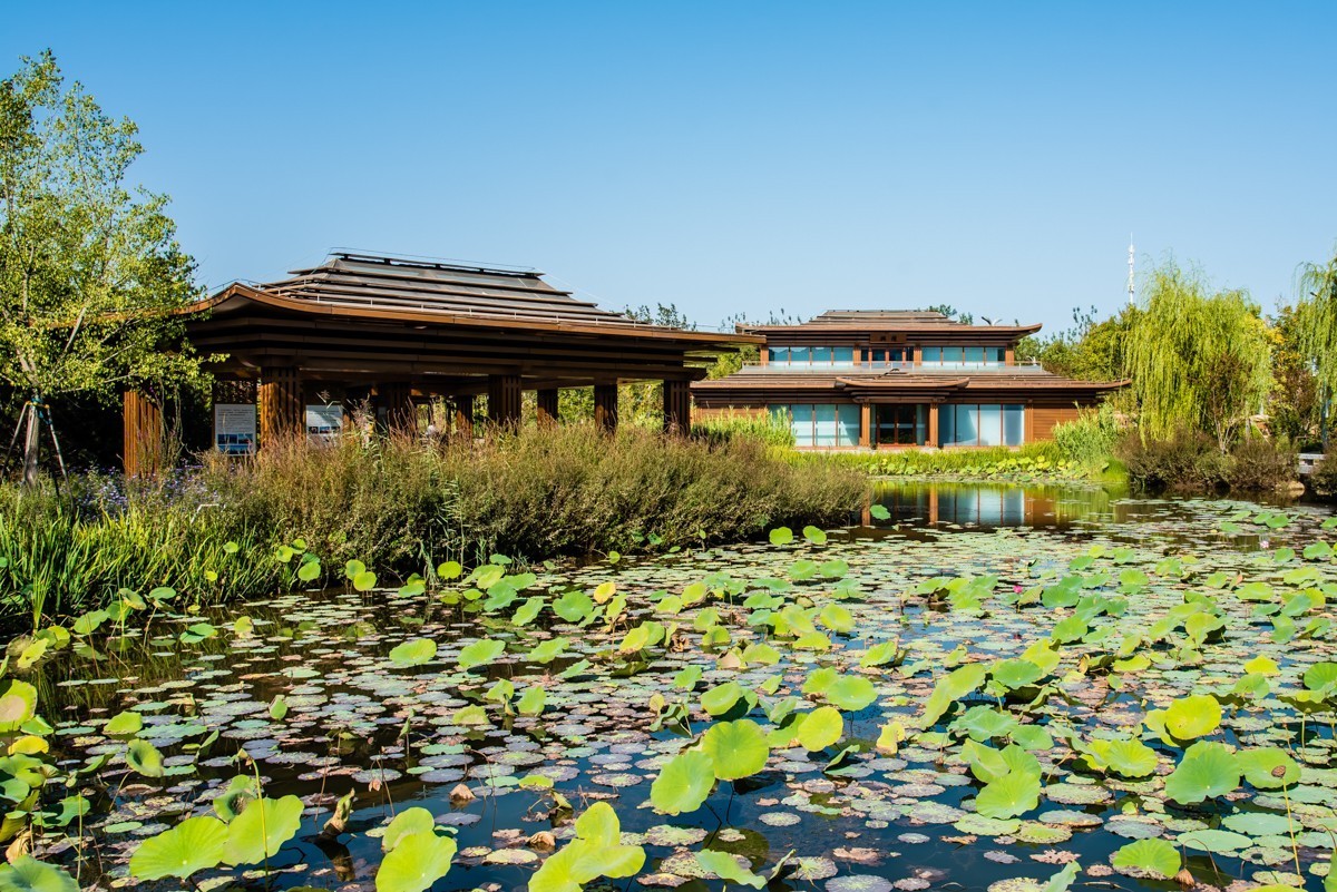 【镜头里】第1550号：大美唐山随手拍（十八）