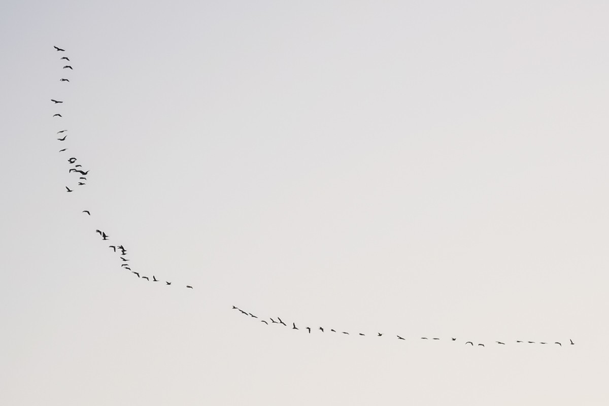 【镜头里】第1550号：大美唐山随手拍（十八）