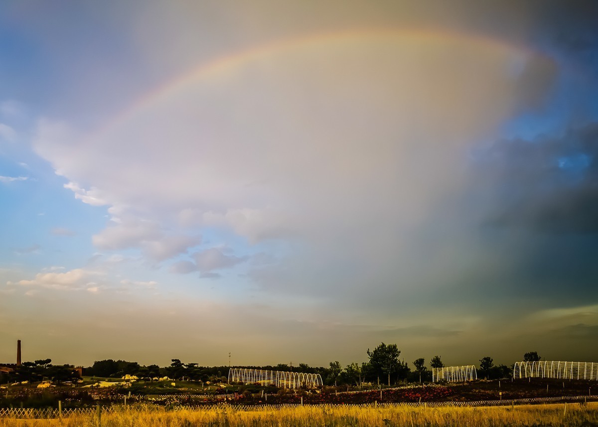 【镜头里】第1550号：大美唐山随手拍（十八）