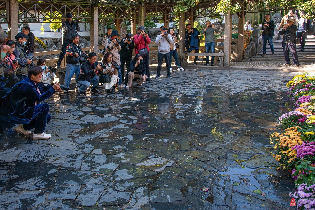 狮林赏菊拍摄花絮
