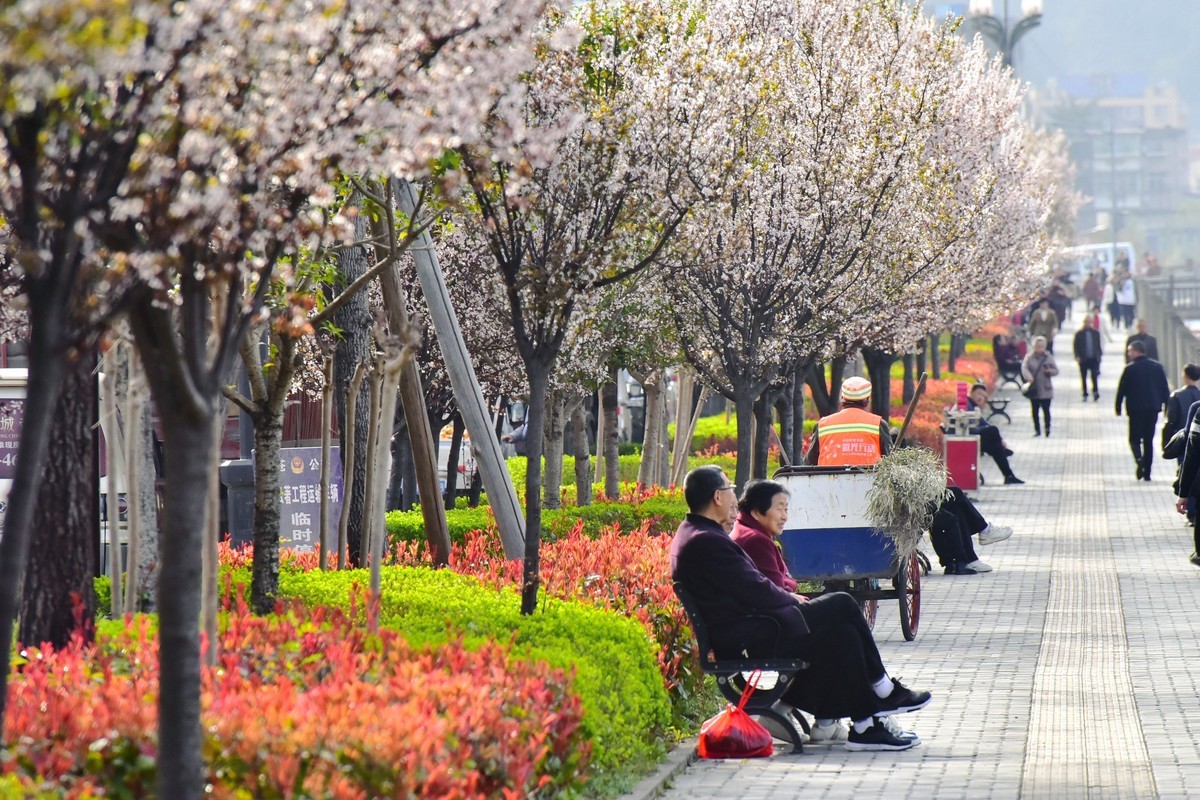我和春天有个约会