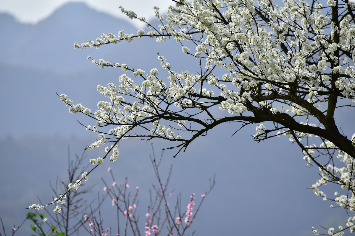 我和春天有个约会