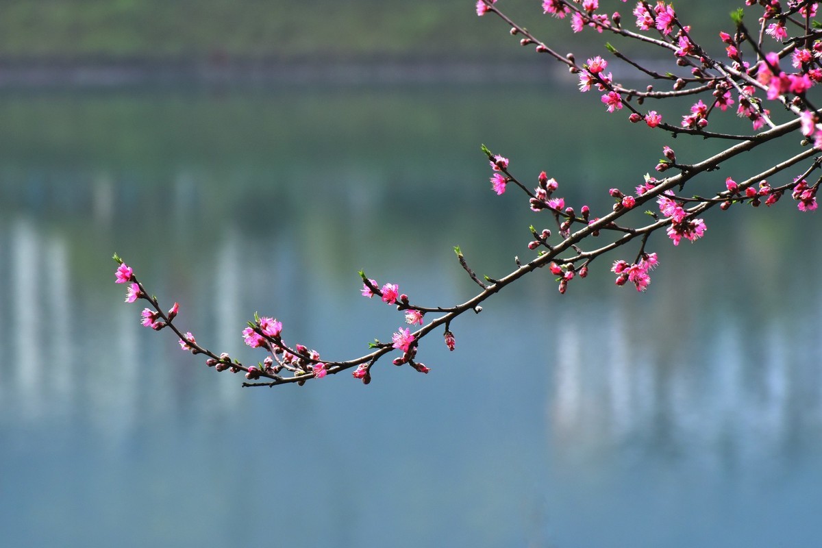 我和春天有个约会