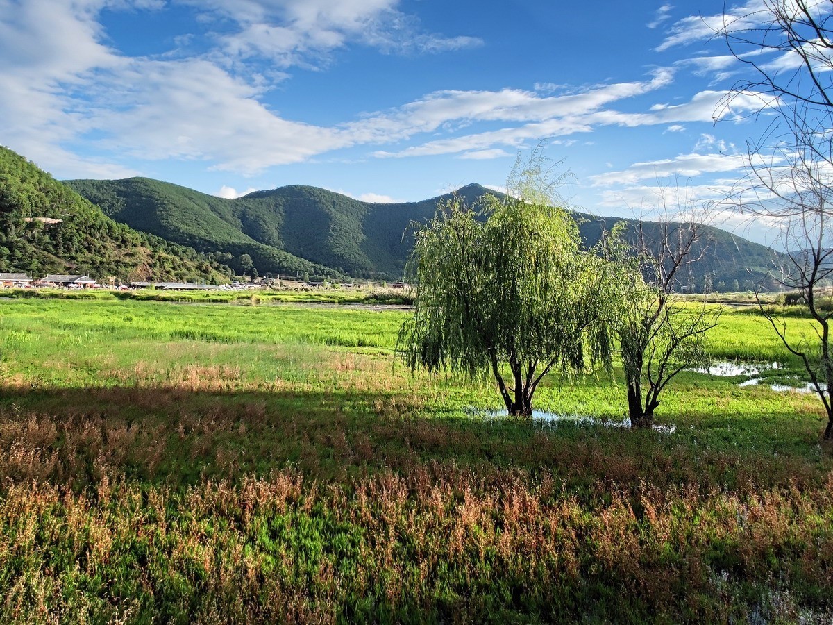 泸沽湖草海（第五集）——8P