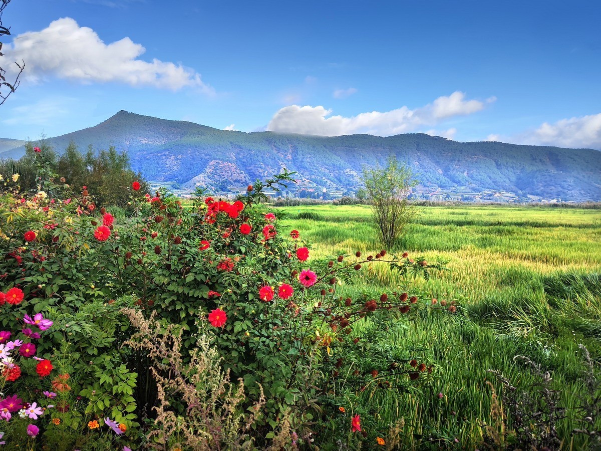 泸沽湖草海（第五集）——8P