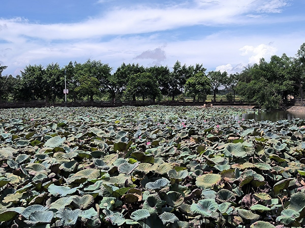 2024夏 海南环岛行（168）传统的海南农家味道