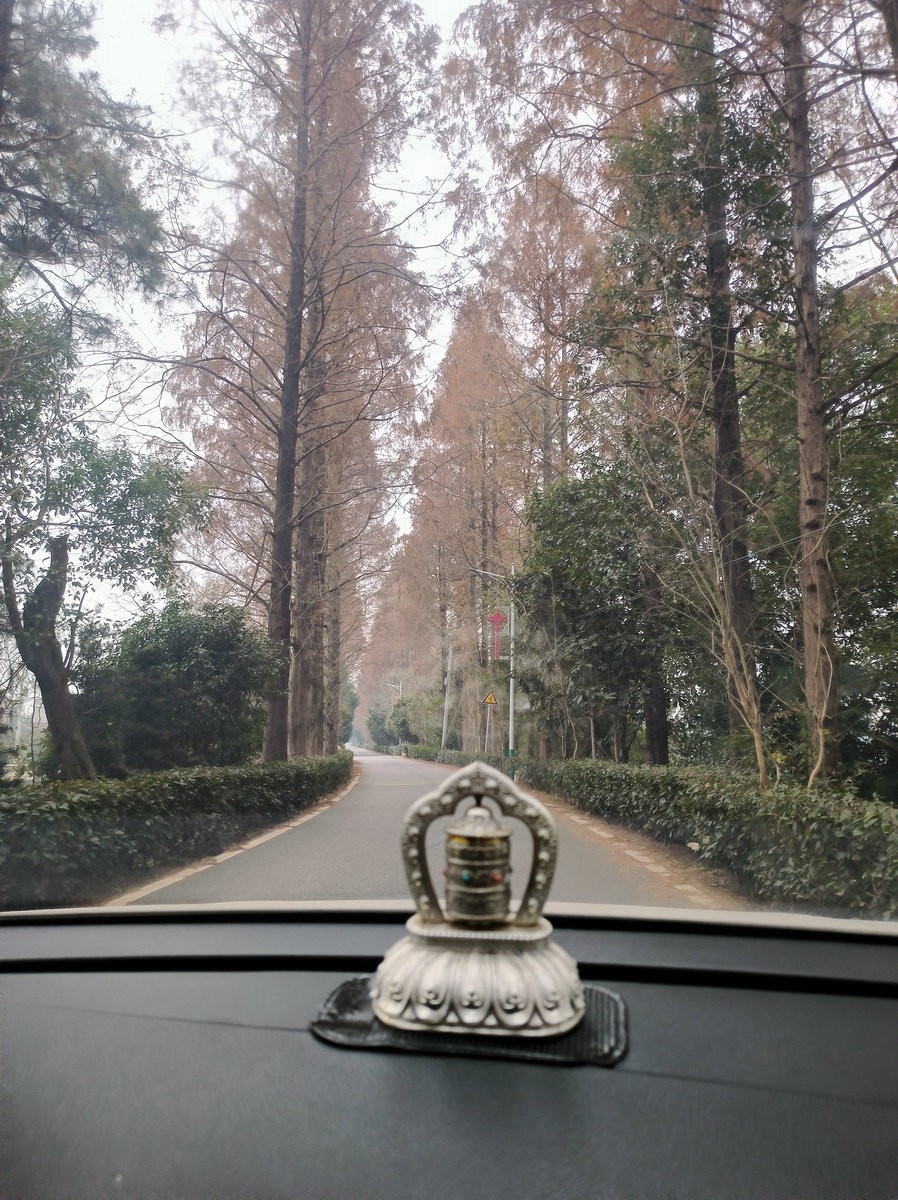 漫步星城 走街串巷（599）渔夫广场