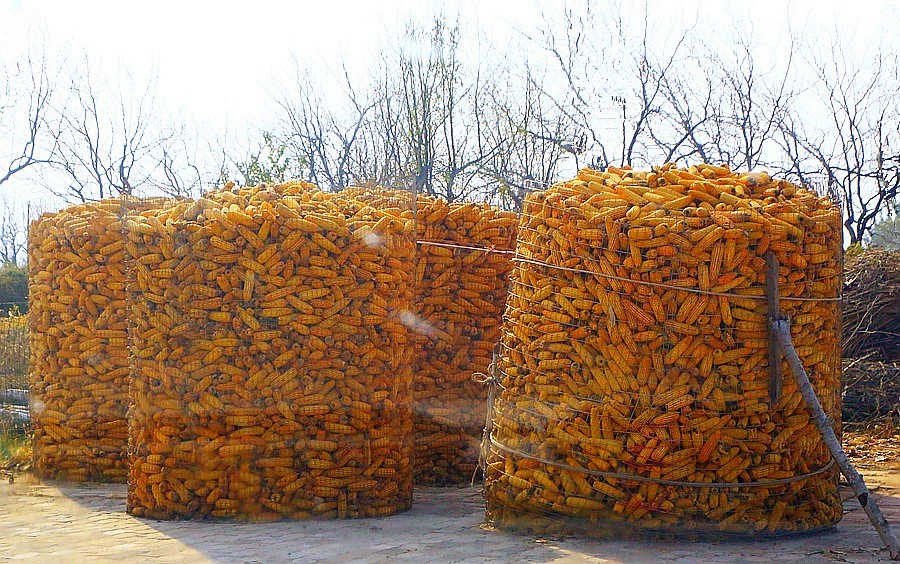 《不老松：纪实摄影》大美沧州系列報道：海兴小山火山地质公园(14)农村家家户户门口都