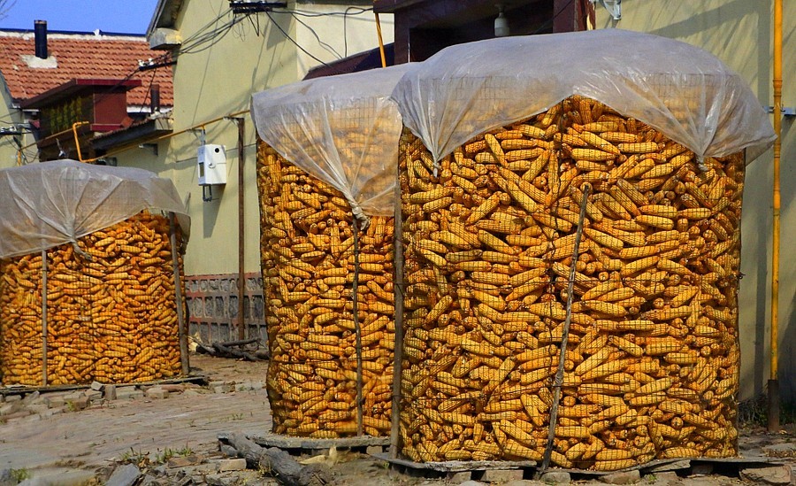 《不老松：纪实摄影》大美沧州系列報道：海兴小山火山地质公园(14)农村家家户户门口都