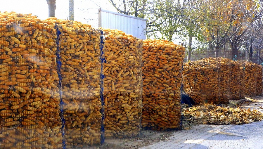 《不老松：纪实摄影》大美沧州系列報道：海兴小山火山地质公园(14)农村家家户户门口都