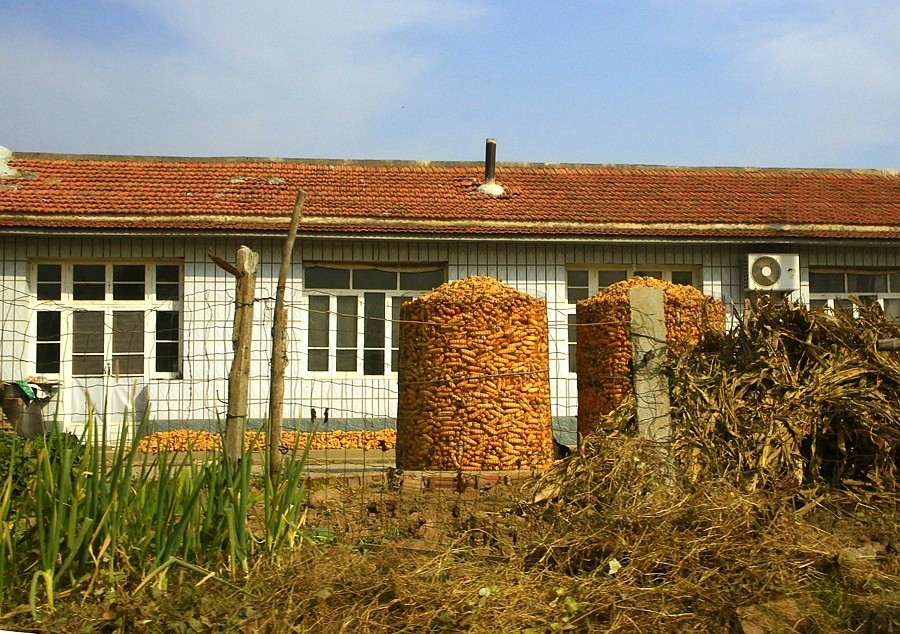 《不老松：纪实摄影》大美沧州系列報道：海兴小山火山地质公园(14)农村家家户户门口都