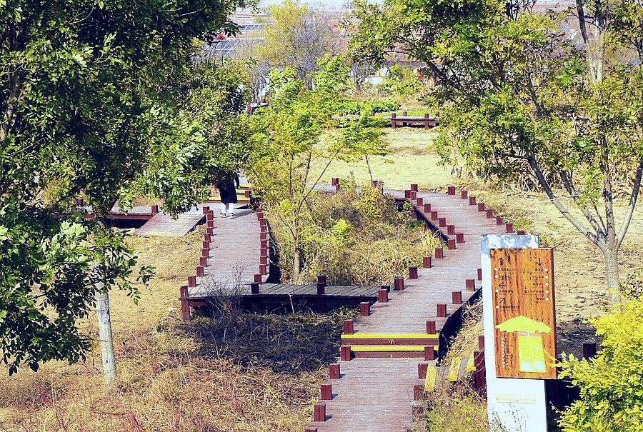 《不老松：纪实摄影》大美沧州系列報道：海兴小山火山地质公园(11)周边景！