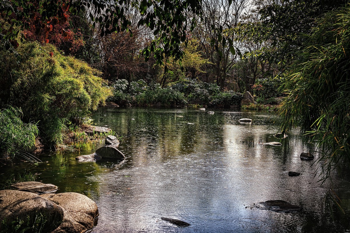 昨日又到大理，今日重游三塔
