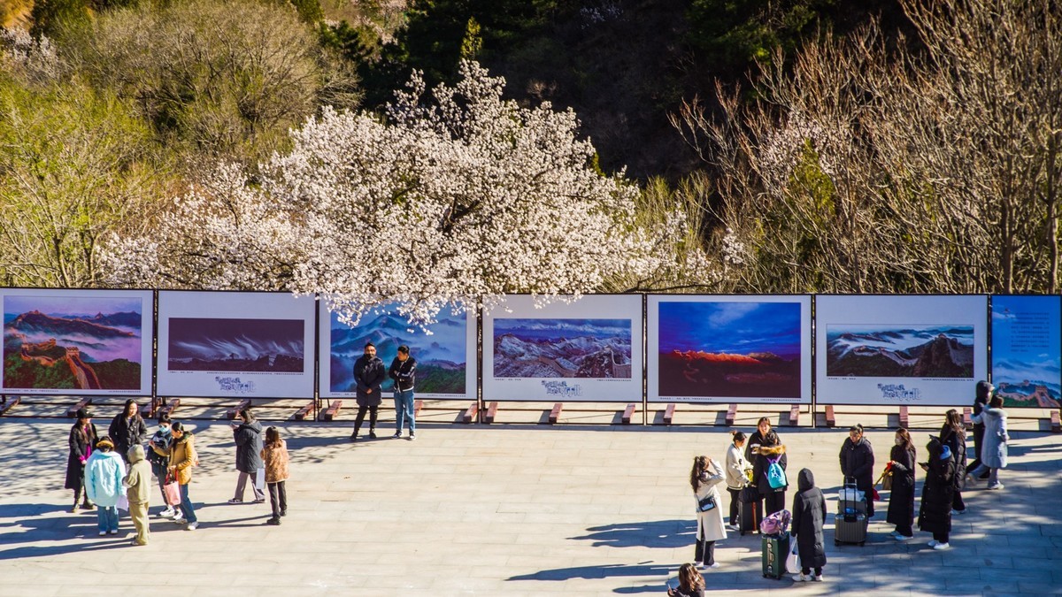 金山岭长城春色（九）------从将军楼到砖垛口