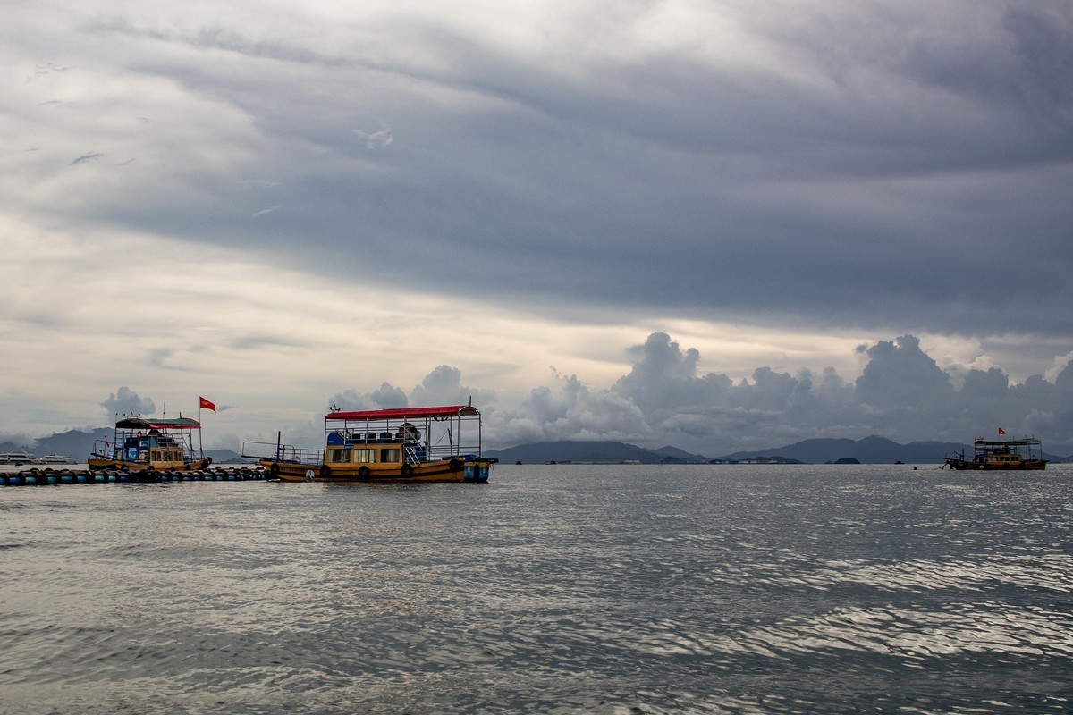 惠州行之——巽寮湾（一）