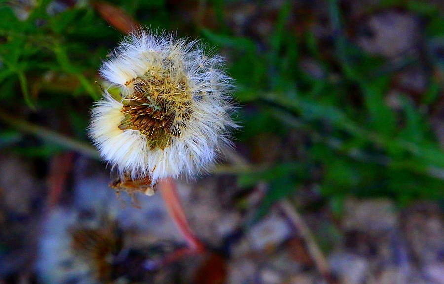 《不老松：纪实摄影》【大好河山系列报導】邯郸游摄！寻找掛壁公路！！ (20)导航给我