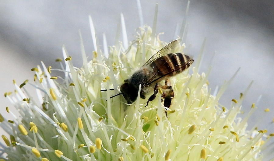 《不老松：纪实摄影》【大好河山系列报導】邯郸游摄！寻找掛壁公路！！ (20)导航给我