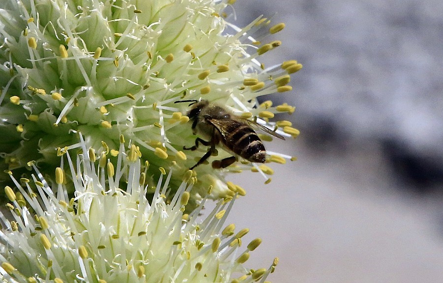 《不老松：纪实摄影》【大好河山系列报導】邯郸游摄！寻找掛壁公路！！ (20)导航给我