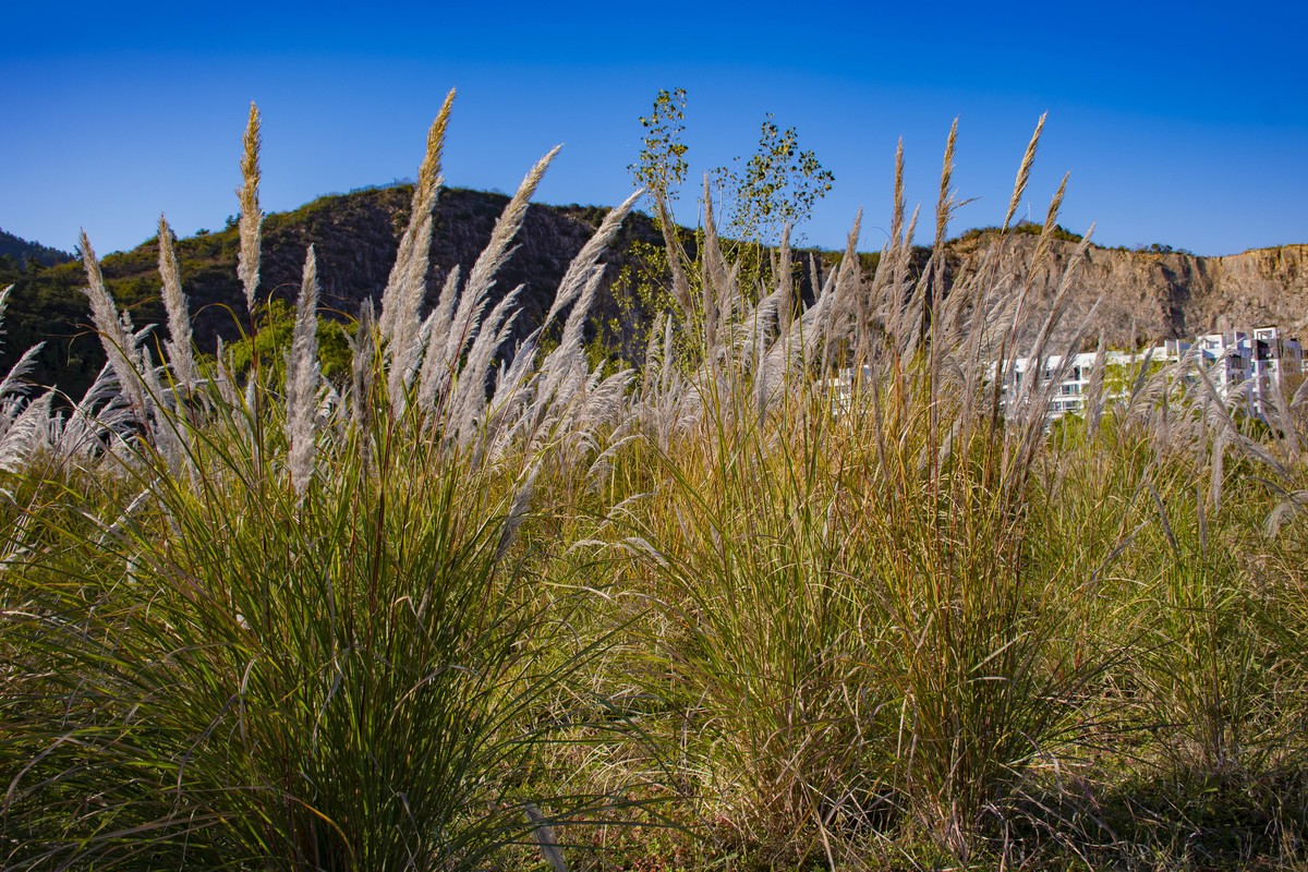拍照狂魔之-深秋芦花【9P】