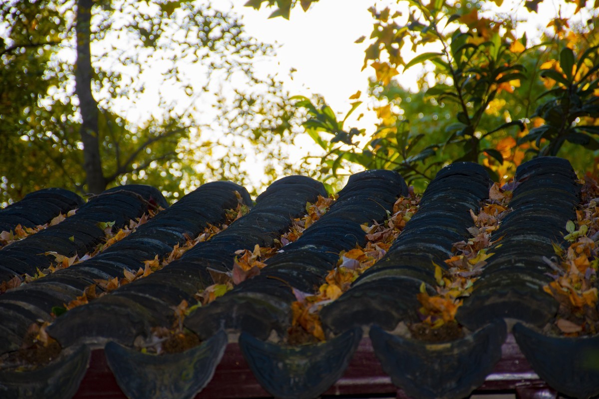 拍照狂魔之-白雲深処【9P】