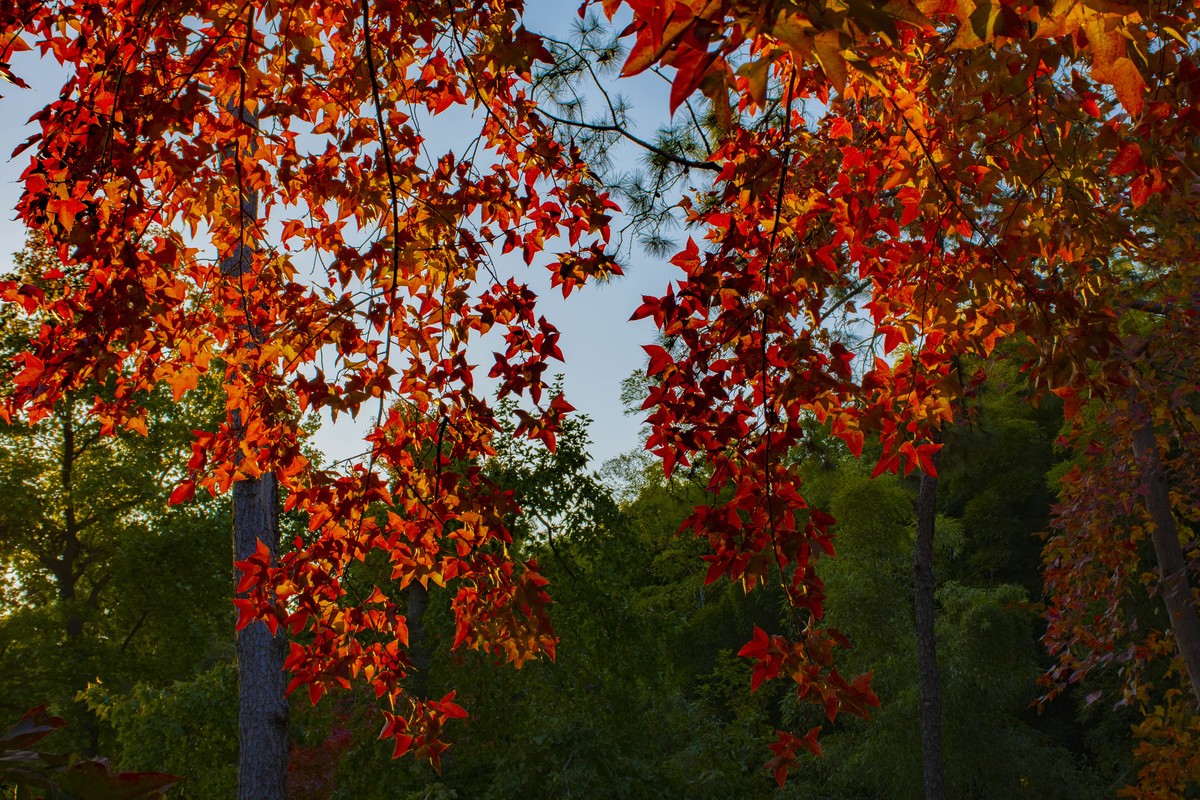 拍照狂魔之-白雲深処【9P】