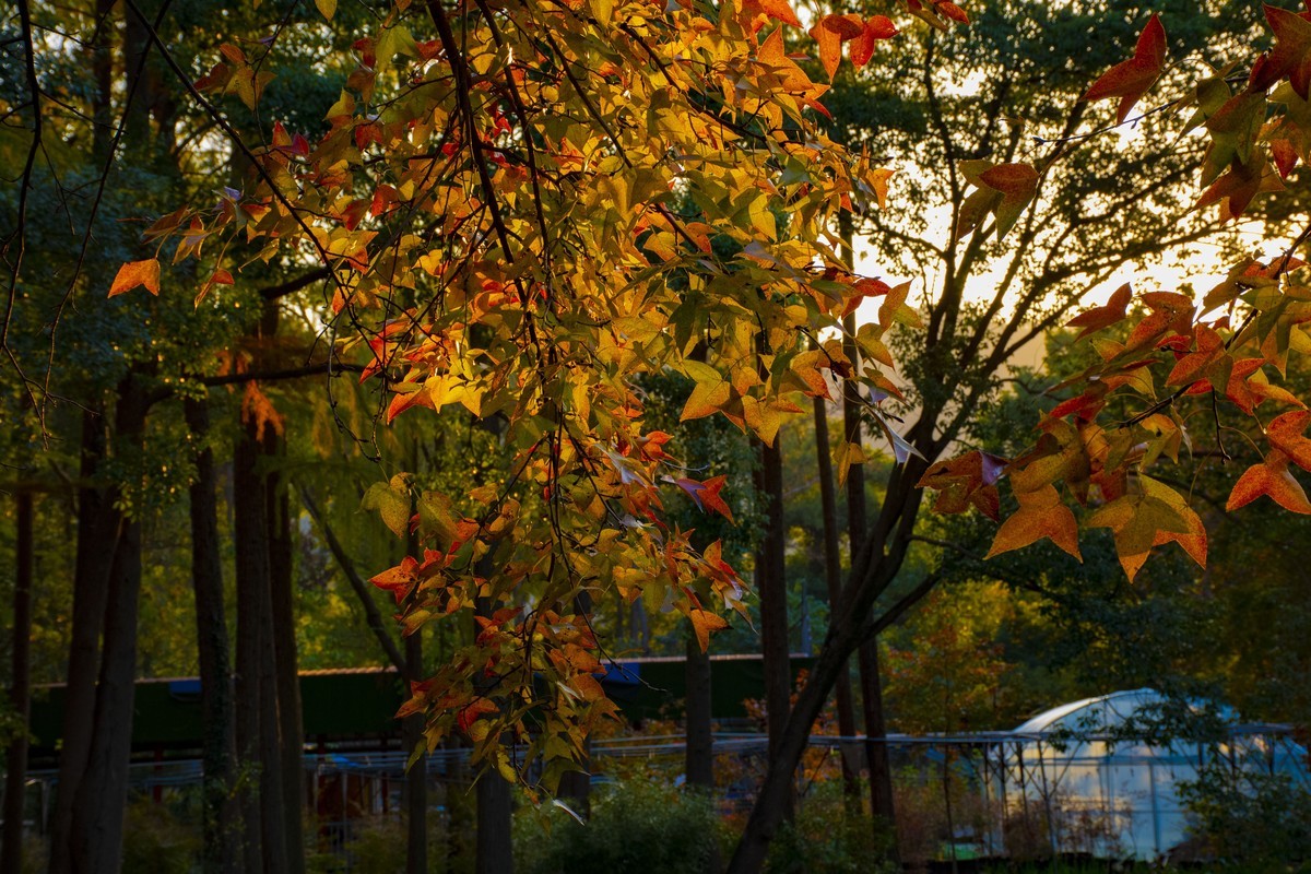 拍照狂魔之-白雲深処【9P】