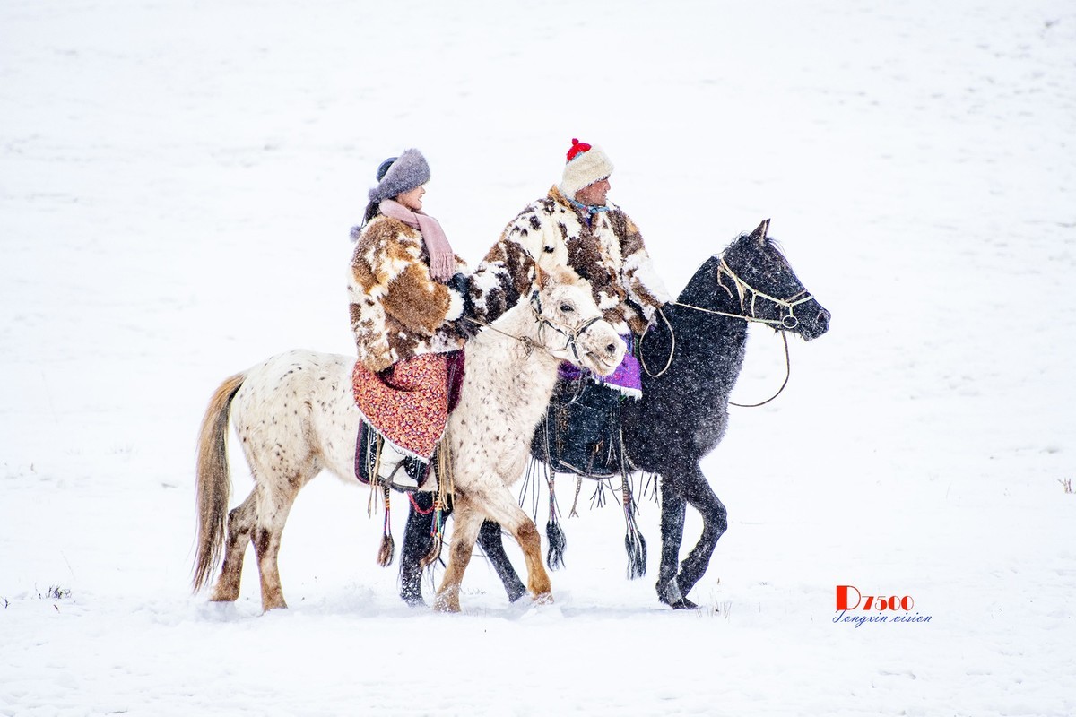 强健&靓丽的牧马人（52）