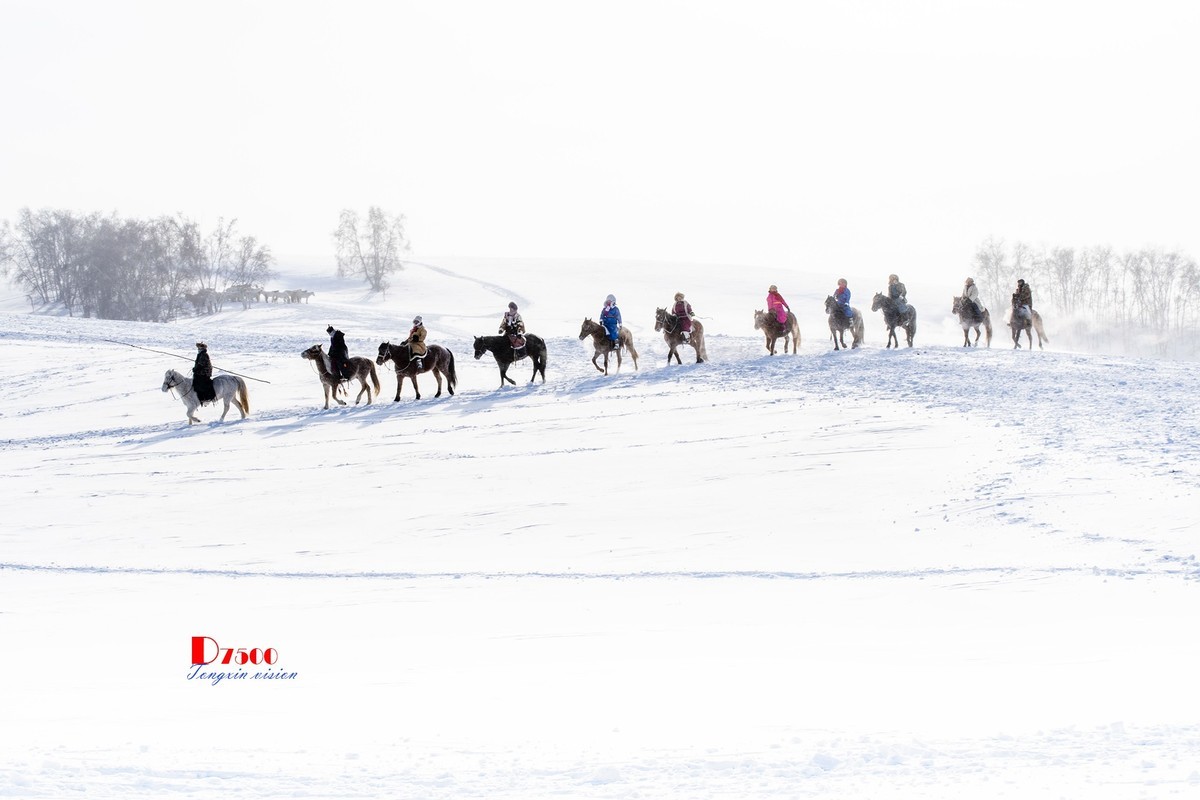 强健&靓丽的牧马人（52）