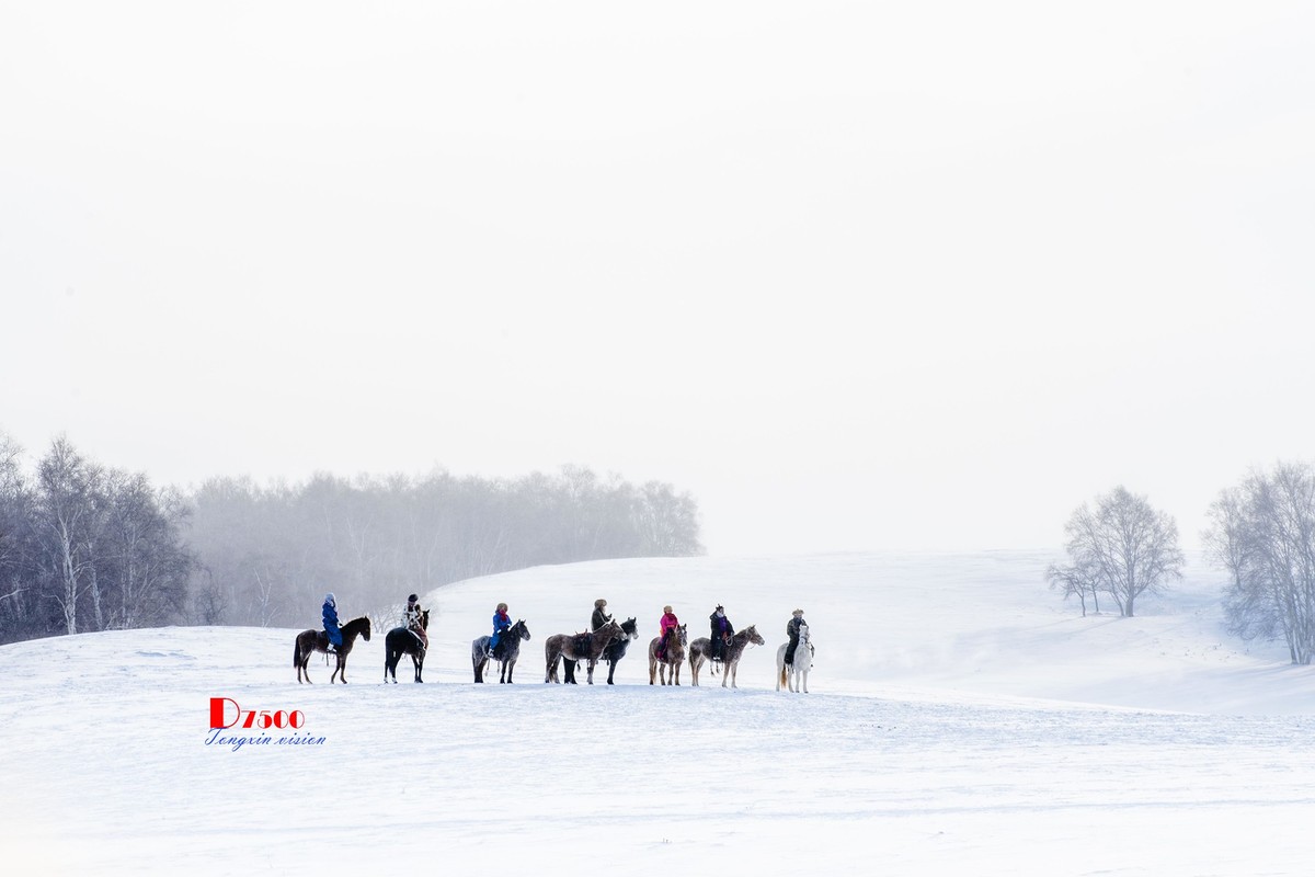 强健&靓丽的牧马人（52）