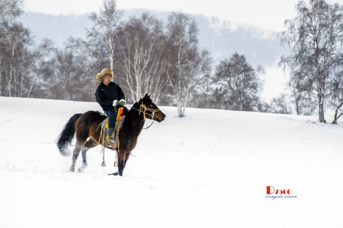 强健&靓丽的牧马人（52）
