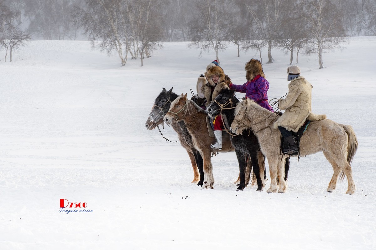 强健&靓丽的牧马人（52）