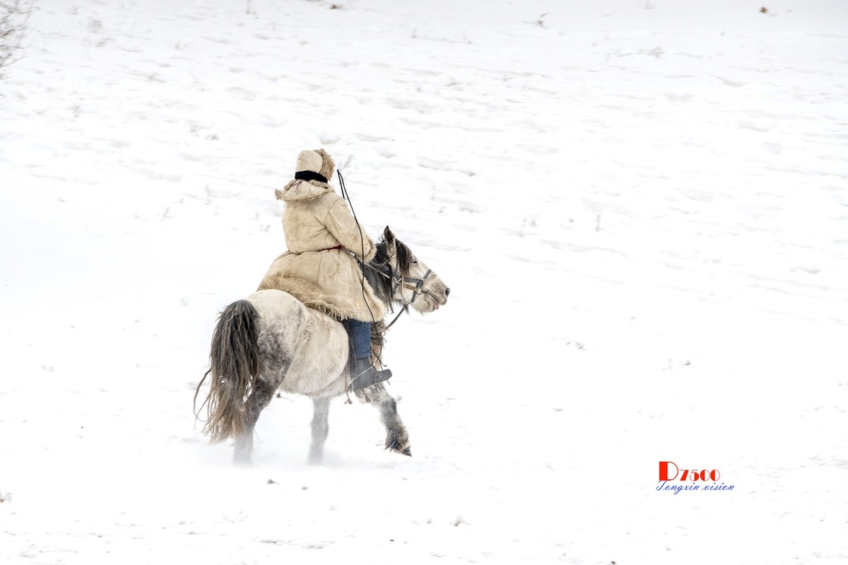 强健&靓丽的牧马人（52）