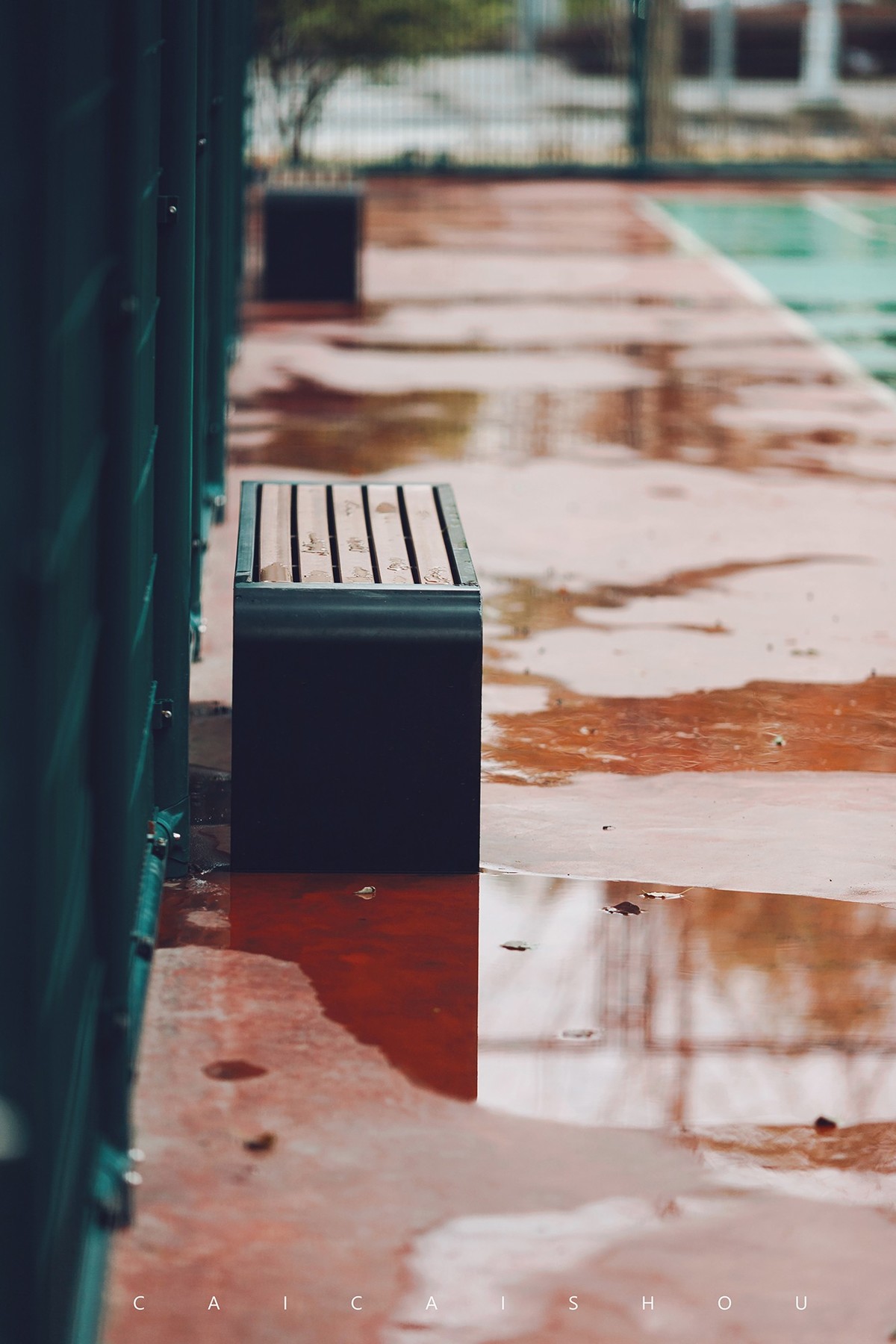 【菜々手摄影】魔都雨后街拍