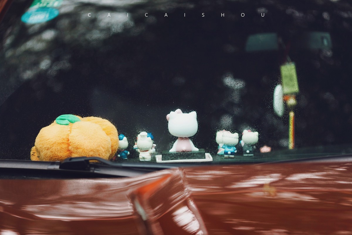 【菜々手摄影】魔都雨后街拍