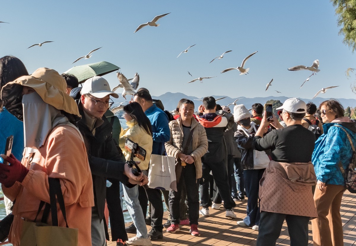 滇池 · 湿地公园