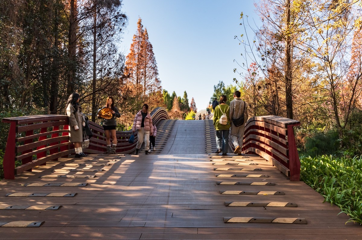 滇池 · 湿地公园