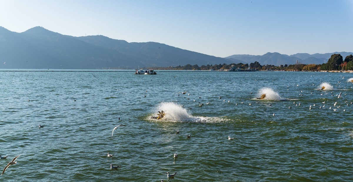 滇池 · 湿地公园