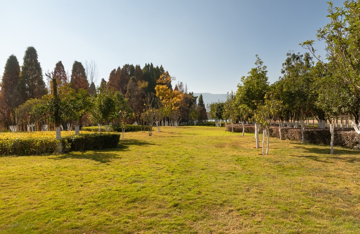 滇池 · 湿地公园