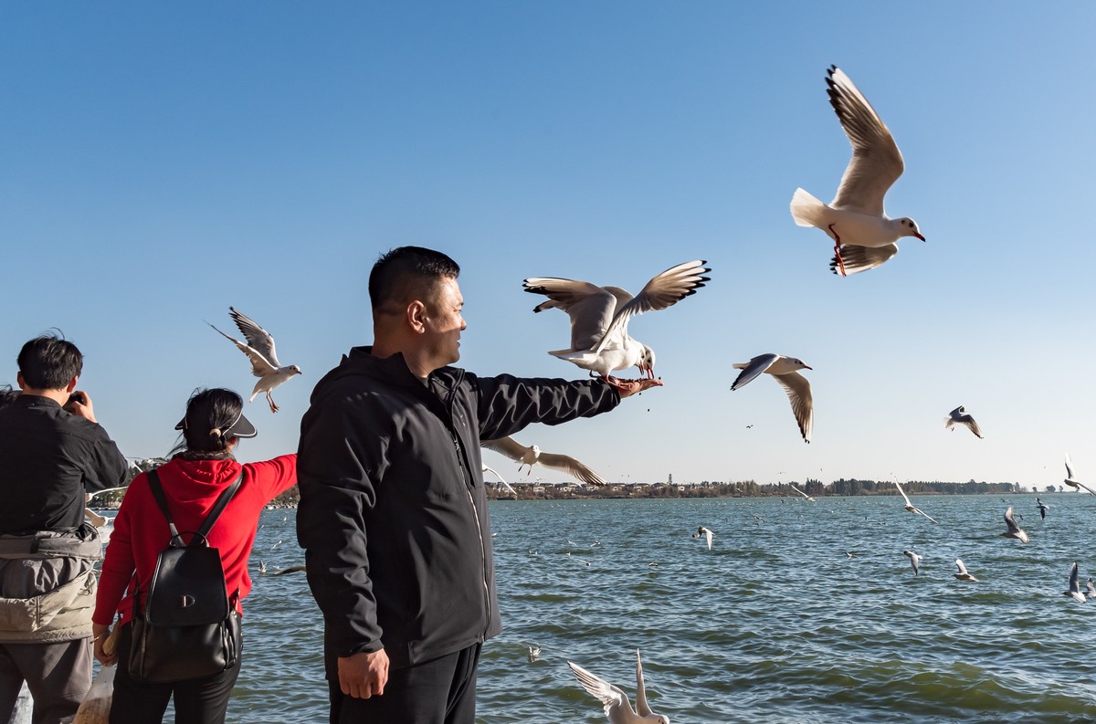 滇池 · 湿地公园