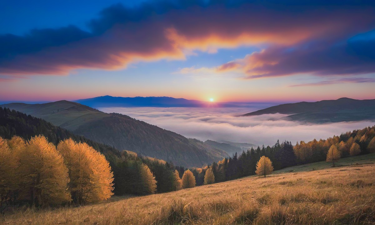 一幅幅隽永的画作