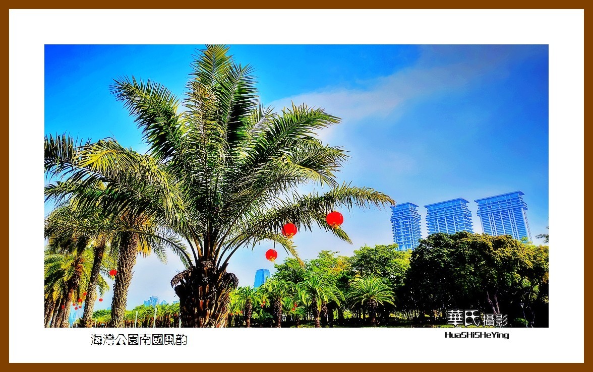 2022南行慢游（福建049）—海湾公园南国风韵（厦门市）